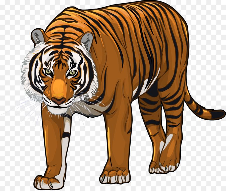 Lion Cartoon png download - 1426*1200 - Free Transparent Bengal Tiger png  Download. - CleanPNG / KissPNG