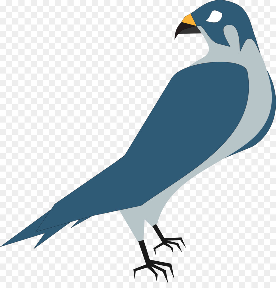 Falco Aquila Clip art - piccione