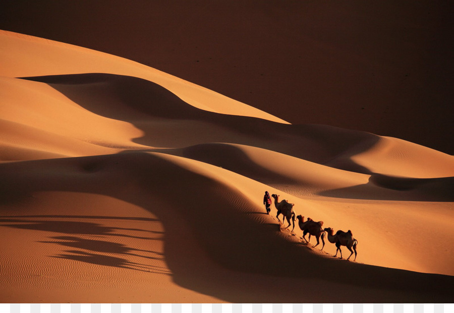 Sahara Cammello ferroviaria di Sfondo per il Desktop Caravan - cammello