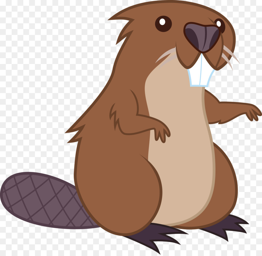 Á âu beaver Bắc Mỹ ly Clip nghệ thuật - hải ly