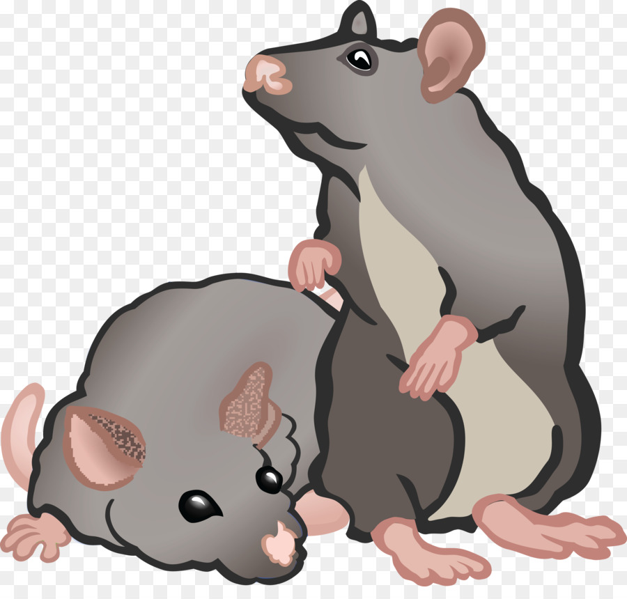 Chuột gặm Nhấm Nhà chuột Clip nghệ thuật - con chuột