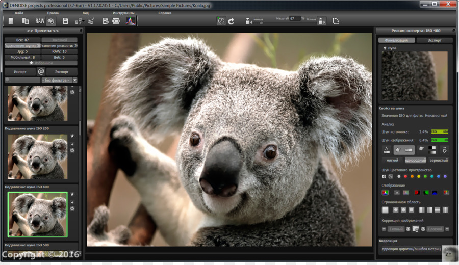 Editing di immagini Adobe Photoshop Elements, Adobe Systems Software per Computer - Koala