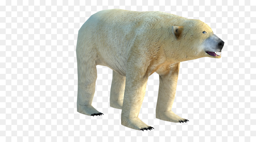 Orso polare in Low poly in computer grafica 3D del fronte d'Onda .file obj - Orso polare