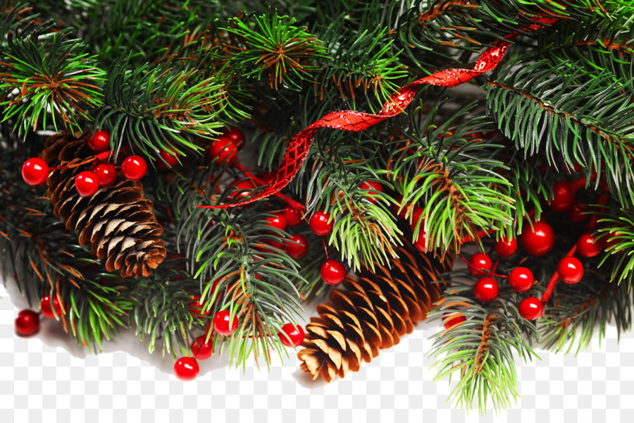 Fraser abete decorazione di Natale, ornamento di Natale albero di Natale - abete