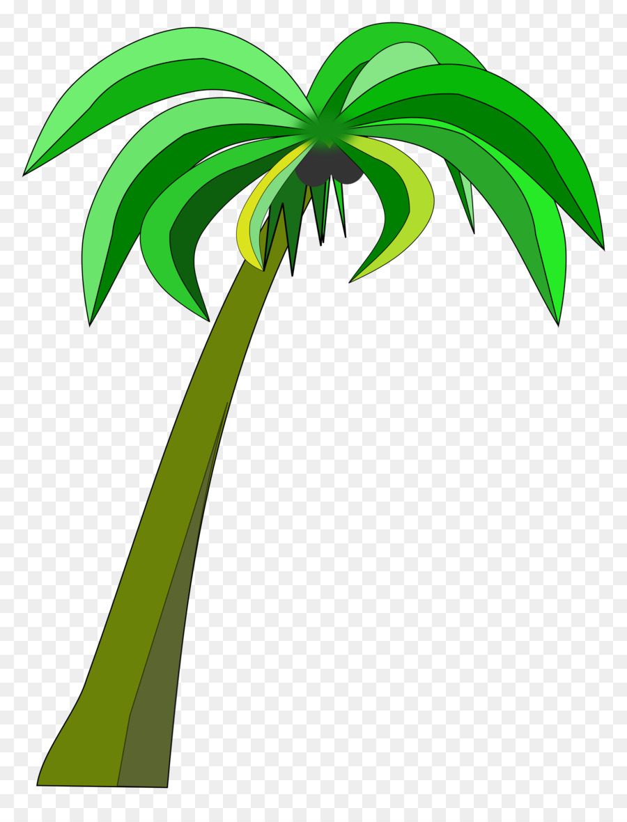 Coconut Arecaceae Clip art - Palme