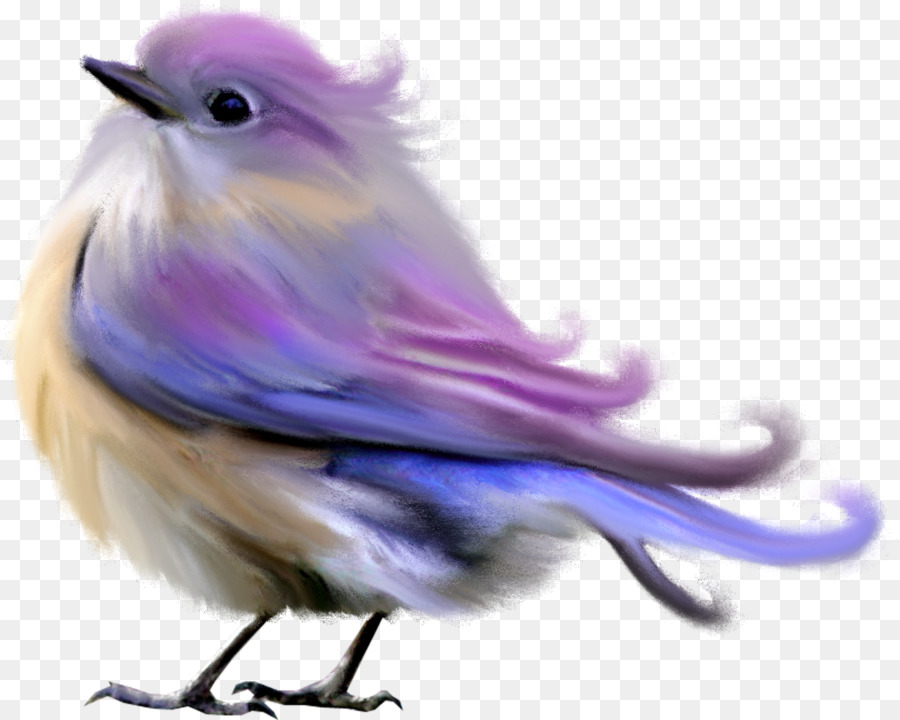 Uccello scuro Software per Computer Clip art - passero