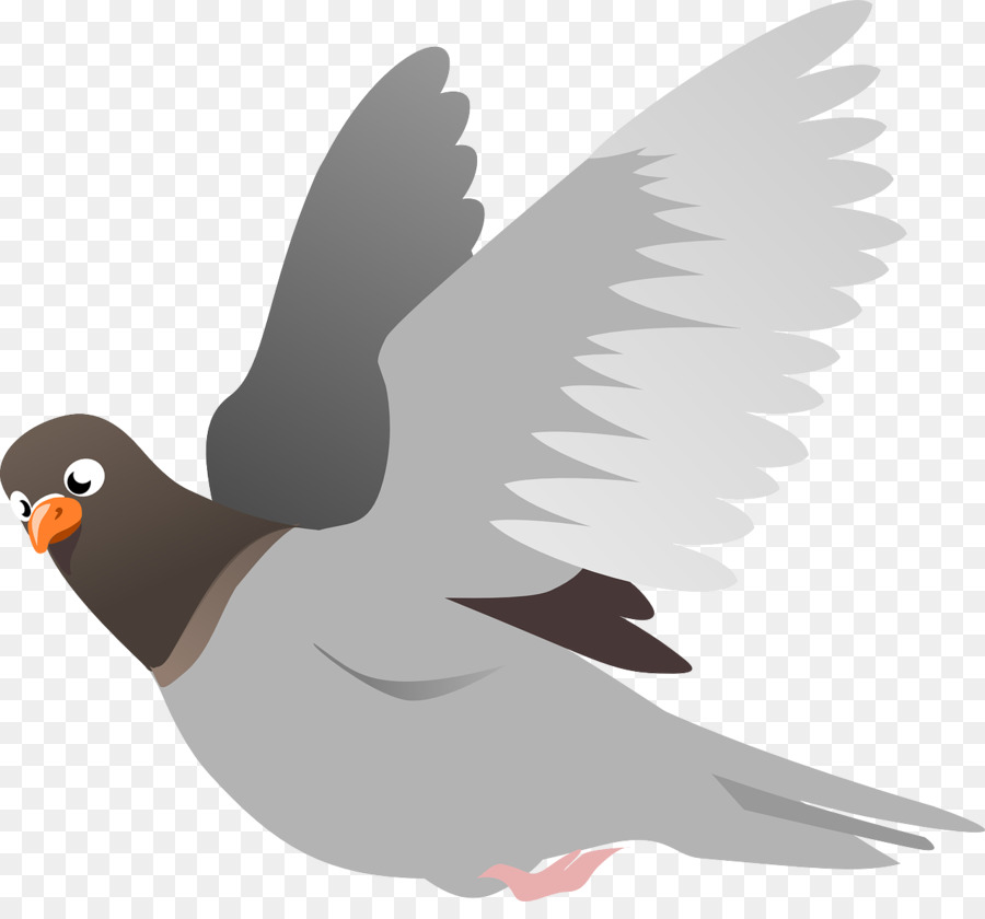 Duck Cartoon png download - 1280*1172 - Free Transparent English Carrier Pigeon  png Download. - CleanPNG / KissPNG