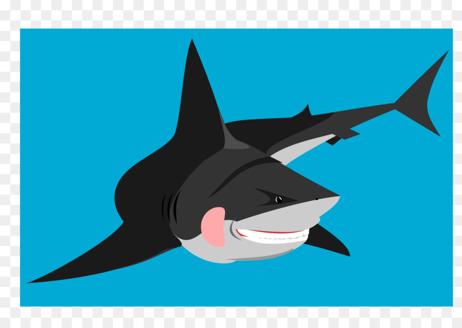 Shark Clip art - Haie