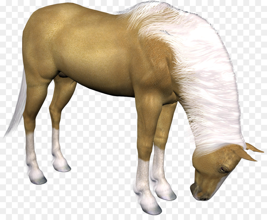 Horse Clip Art - Pferd
