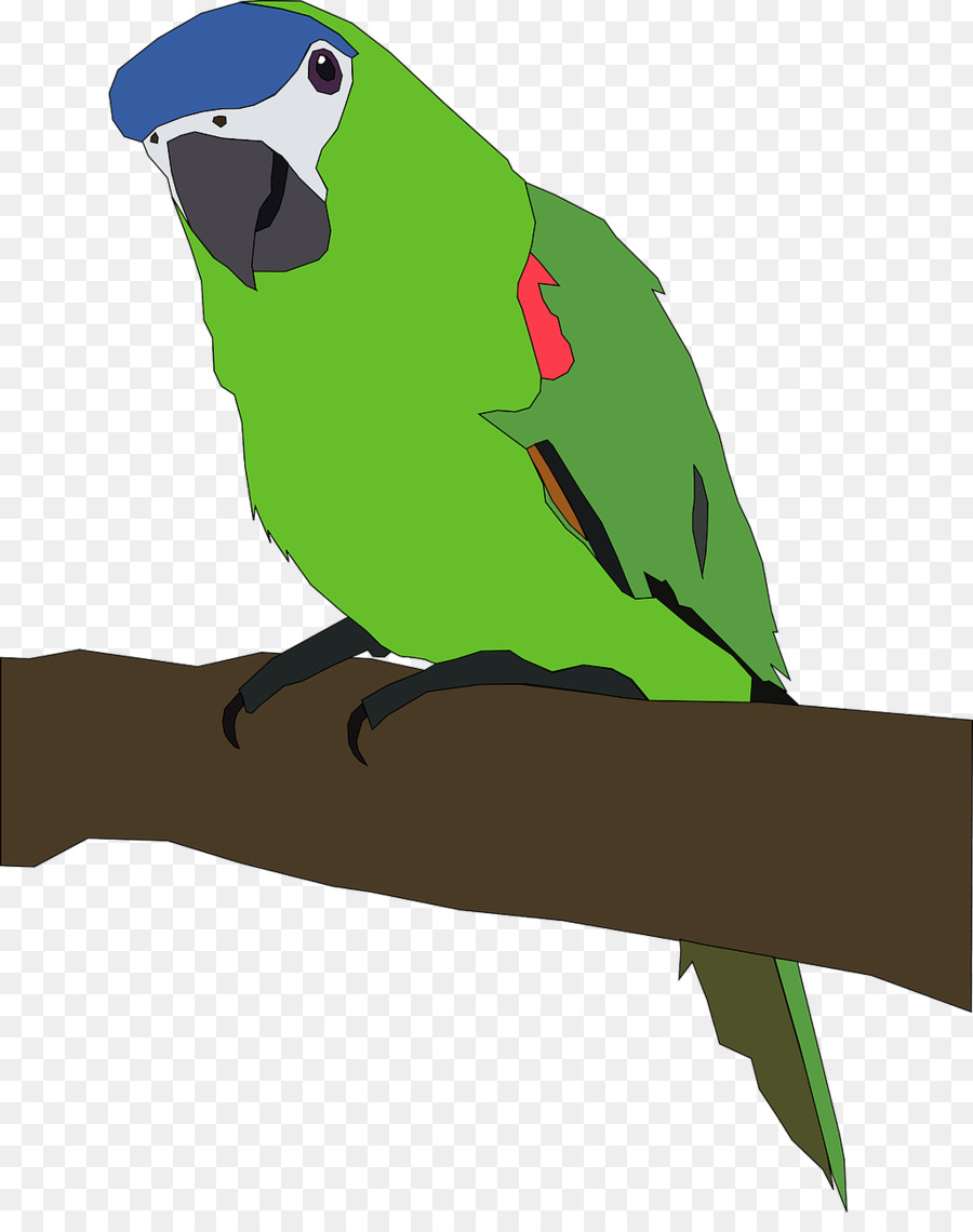 Uccello pappagallo Computer Icone del Desktop Wallpaper Clip art - pappagallo