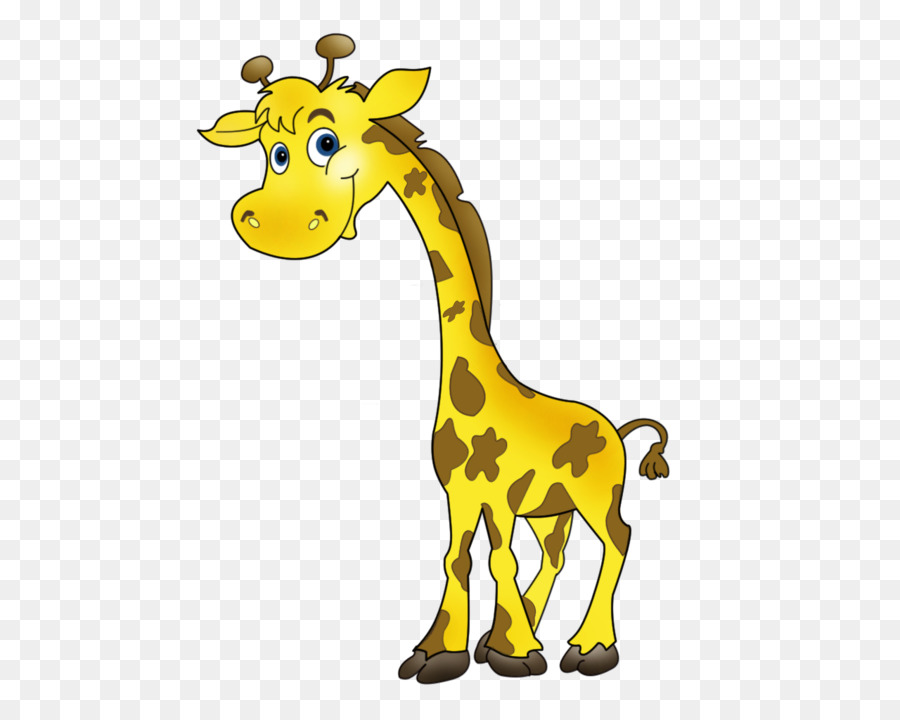 Giraffe Neugeborenen Ansichtkaart Instagram - Giraffe
