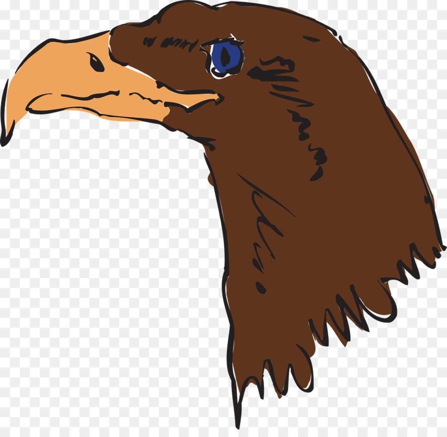 Chim đại Bàng đầu Hói Mỏ Clip nghệ thuật - chim ưng