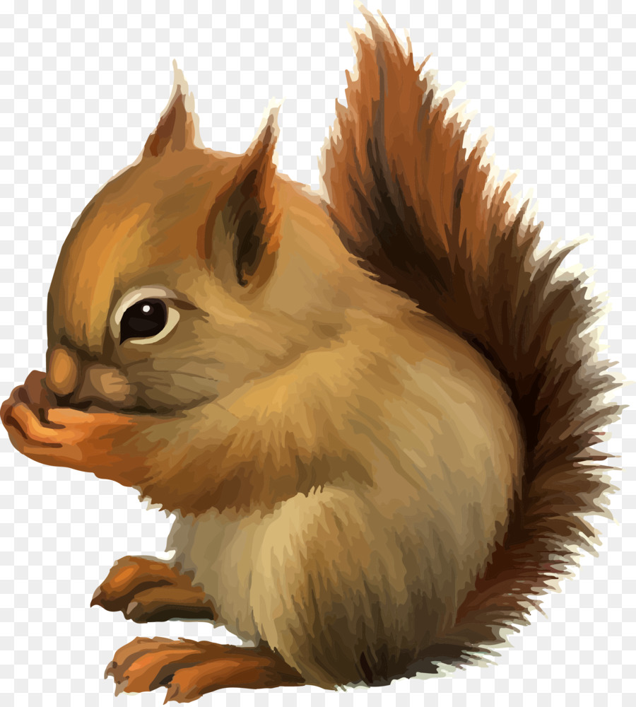 Eichhörnchen Cartoon Niedlichkeit - Eichhörnchen