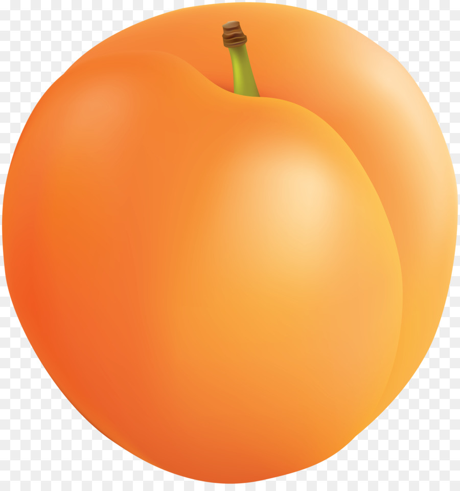 Aprikosen-Obst clipart - Aprikose