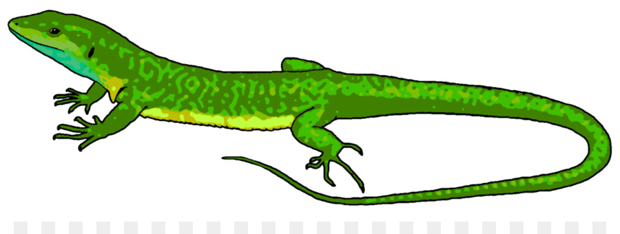 Lizard Camaleonti Rettile Comune Iguane Clip art - Lizard Clipart