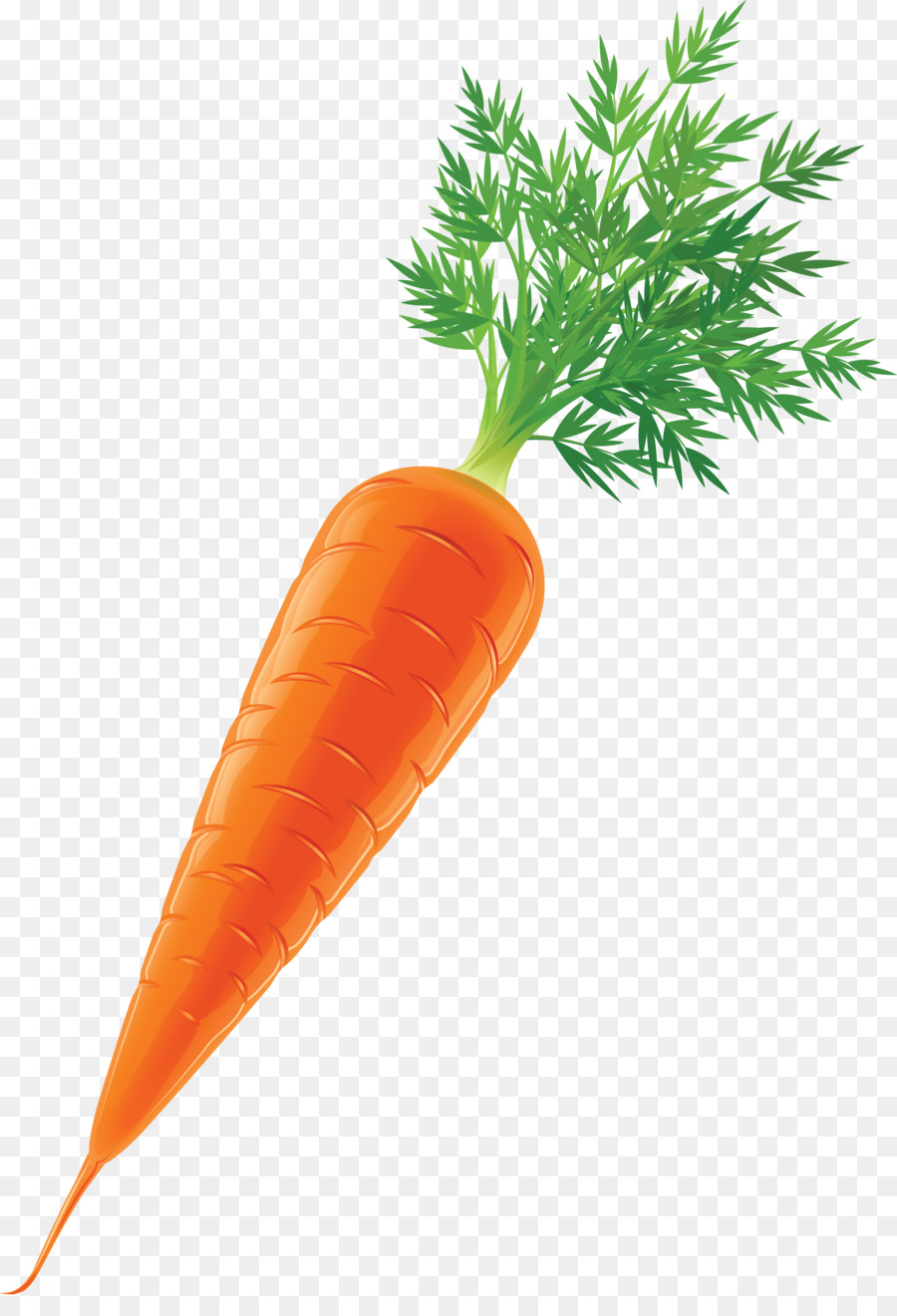 Karotte Gemüse-Stock-clipart - Karotte