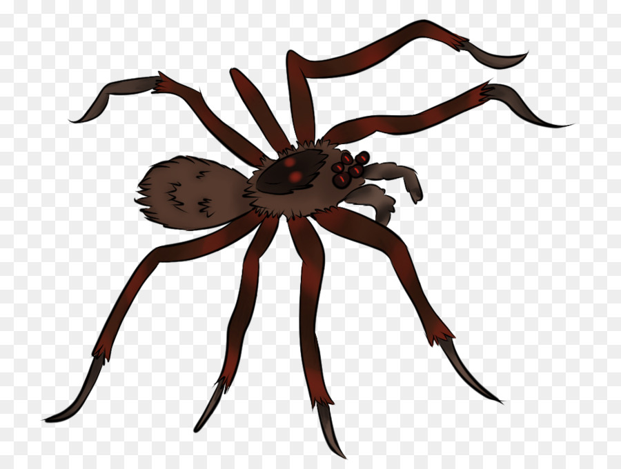 Spiders Cartoon png download - 900*675 - Free Transparent Spider png  Download. - CleanPNG / KissPNG