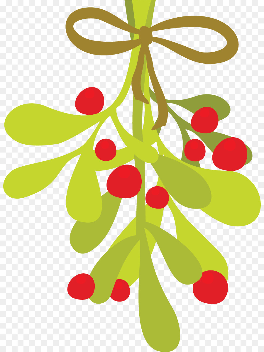 Vischio Phoradendron tomentosum Clip art - il vischio, clipart