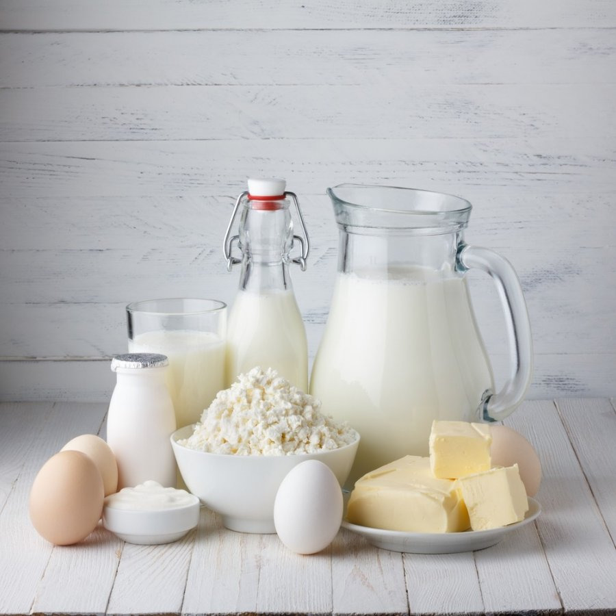 Kem Để Ăn Hoặc là Không Ăn? Sữa và Sữa, - thực Phẩm kim tự Tháp: 2 Lớp Khoa học hàng Loạt sản Phẩm Sữa Ăn - sữa