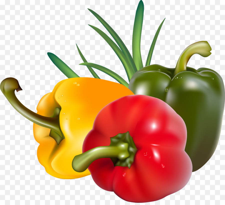 Capsicum Bell pepper, Tomato Chili pfeffer Paprika - Rüben
