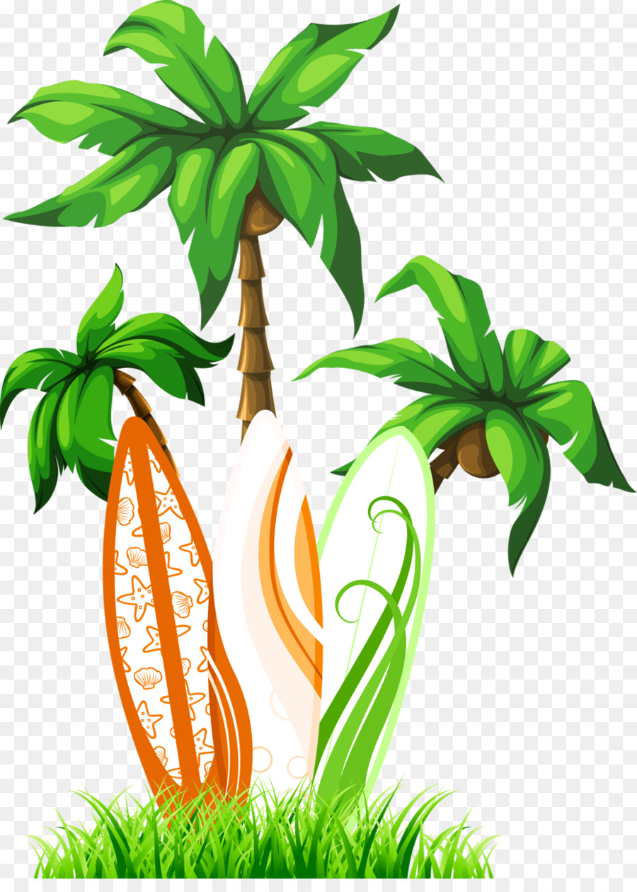 Arecaceae Cây Clip nghệ thuật - Dừa
