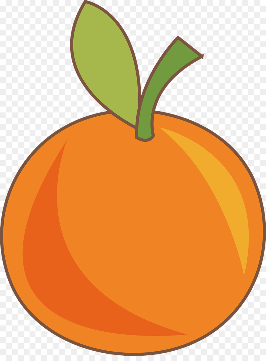 Arancia, succo di Clementine di Frutta - arancione
