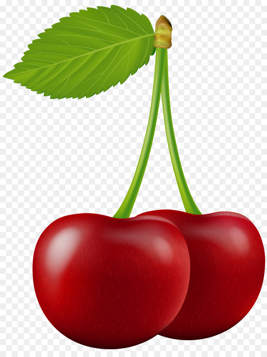 Fruit Cartoon png download - 6092*8000 - Free Transparent Cherry png  Download. - CleanPNG / KissPNG