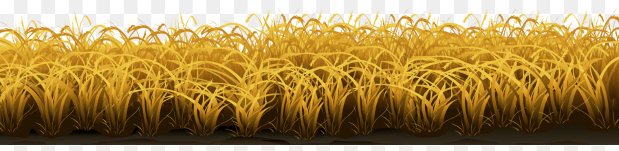 Gräser Clip art - Weizen