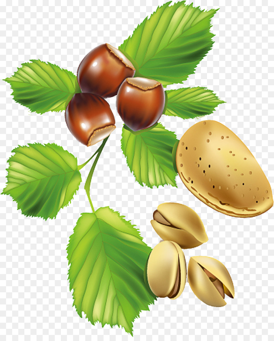Obst-Heidelbeer-Nuss - Pistazien