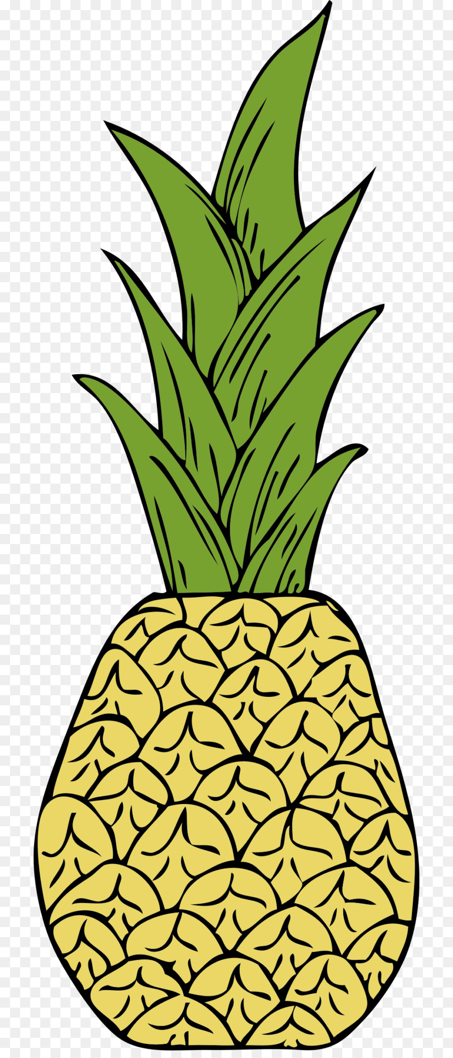 Ananas Frucht clipart - Ananas