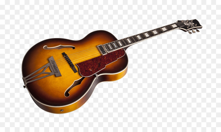 Hawaii guitar dụng Cụ âm Nhạc Cụ Dây - cây guitar