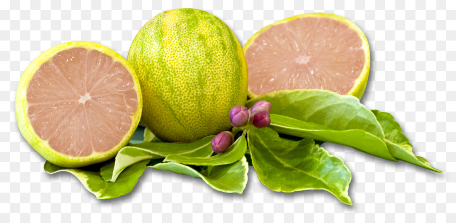 Santa Paula in marmo rosa di limone, Limonata Limoneira - limone