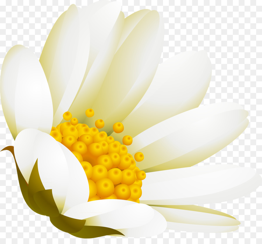 Weiße Blume Werbung DenizBank - Kamille