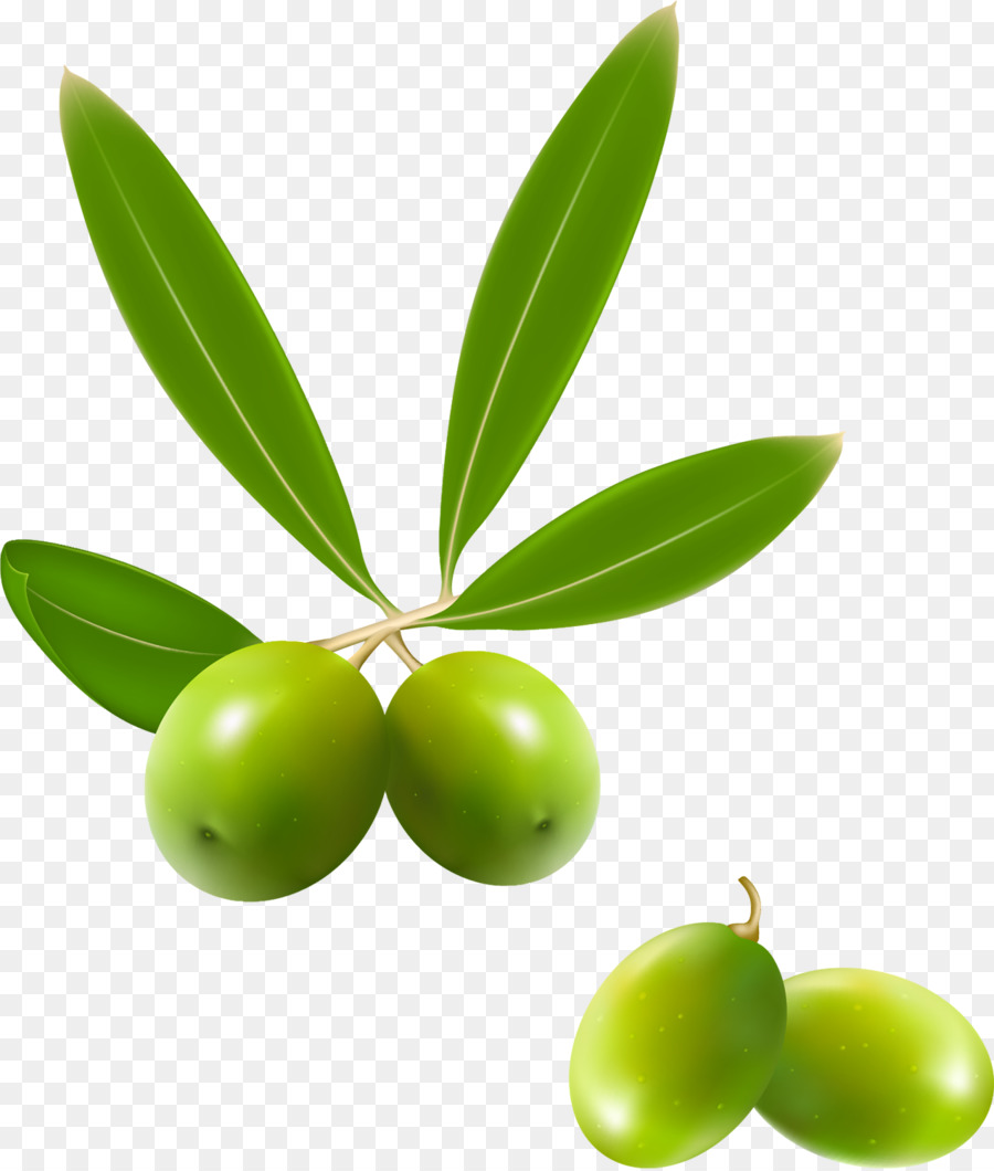 Olio Vegetale olio di Oliva Cibo - olio di oliva