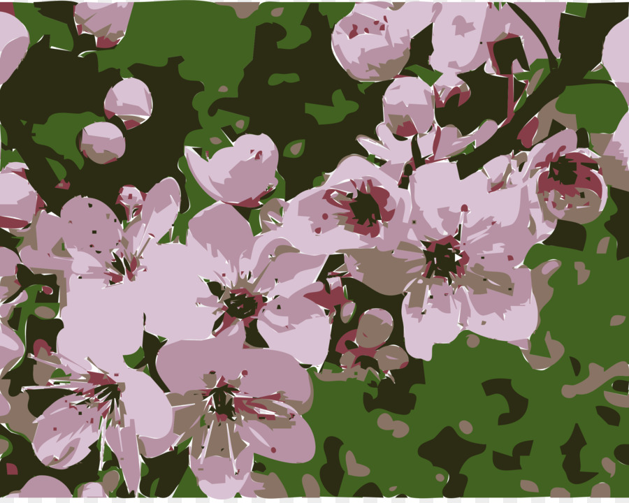 Plum blossom Nationalblume der Republik China Floral emblem - Pflaume