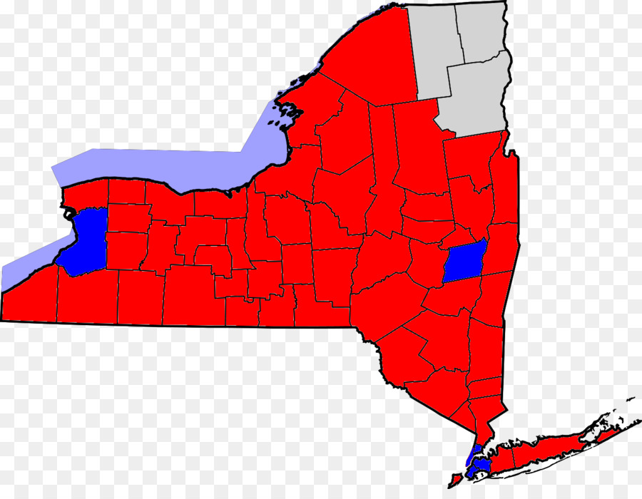 Thành Phố New York Vận Hội của New York MỸ Luật tiểu bang của chính Phủ - george bush