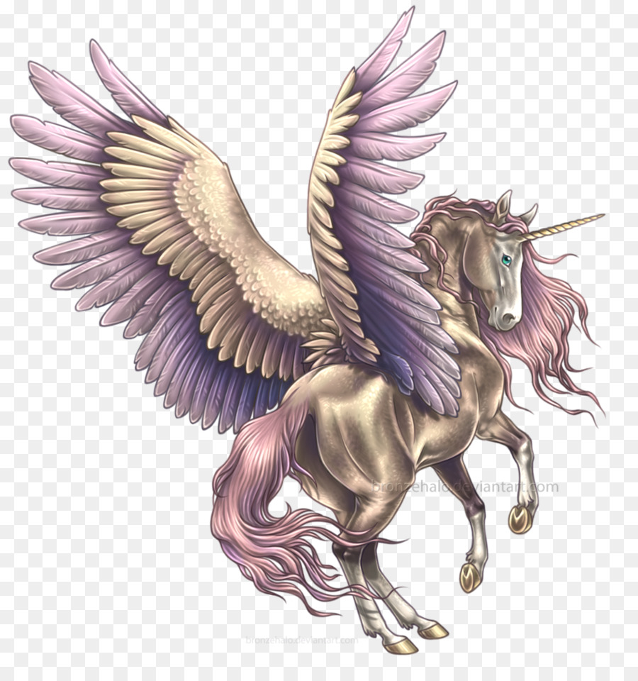 Con ngựa có Cánh lân Pegasus Vẽ - Pegasus png tải về - Miễn phí trong suốt  Con Ngựa png Tải về.