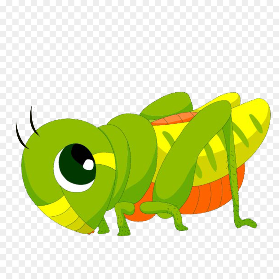 Bệnh dịch của Ai cập Locust Chứng nhiếp ảnh Clip nghệ thuật - châu chấu