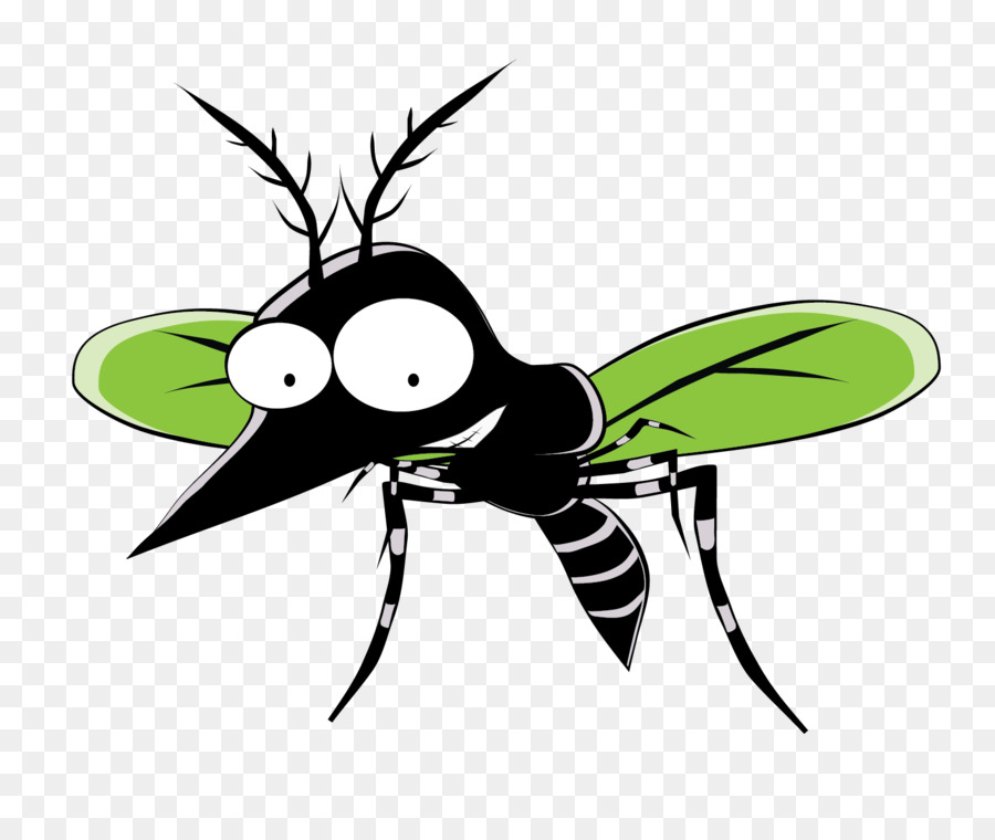 Insekt, Mücke, Ameise Cartoon - Mücke