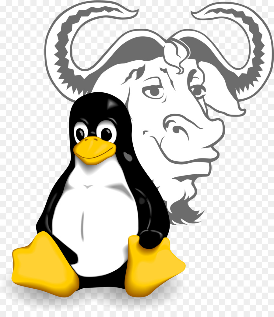 GNU/Linux controversia sul nome GNU Project Software per Computer - Linux