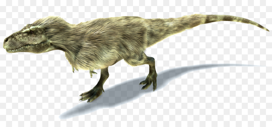 Tyrannosaurus theropods Ornithomimus Dilong Albertosaurus - Dinosaurier