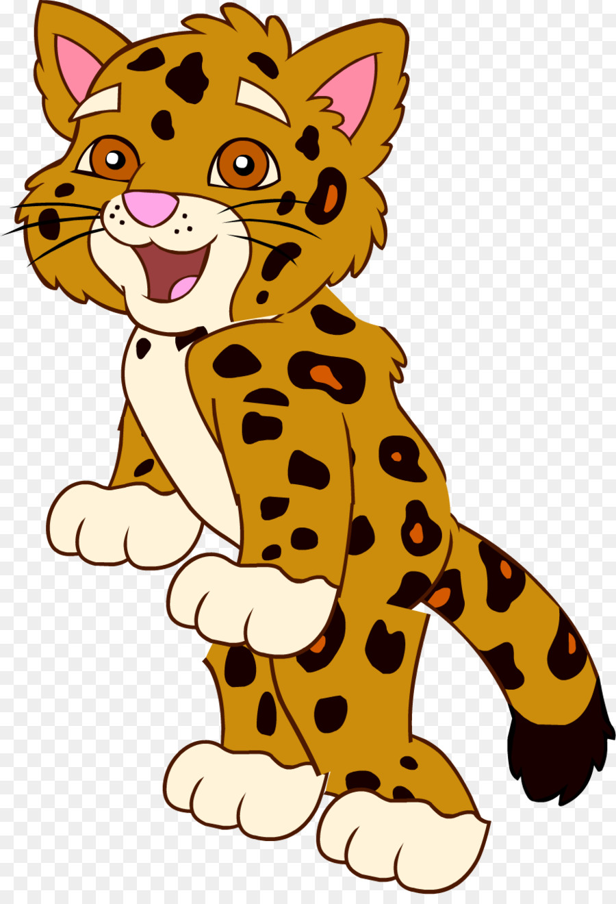 La tigre di sumatra Gatto Cartoon Clip art - leopardo