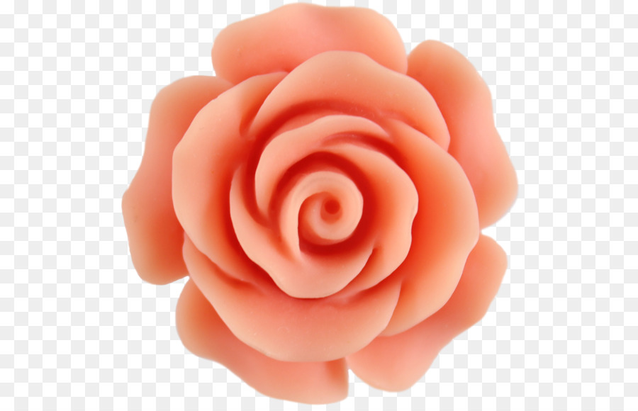 Hoa hồng Màu nước sơn Clip nghệ thuật - Peach Biên Giới.