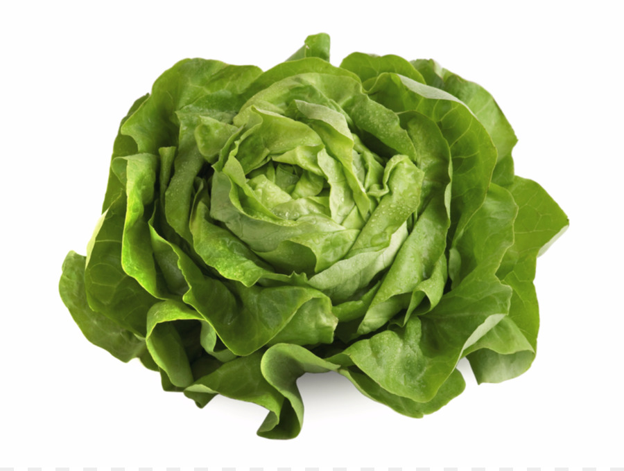 Bio-Lebensmittel Eisbergsalat Römersalat Blatt-Gemüse-Salat - kopfsalat