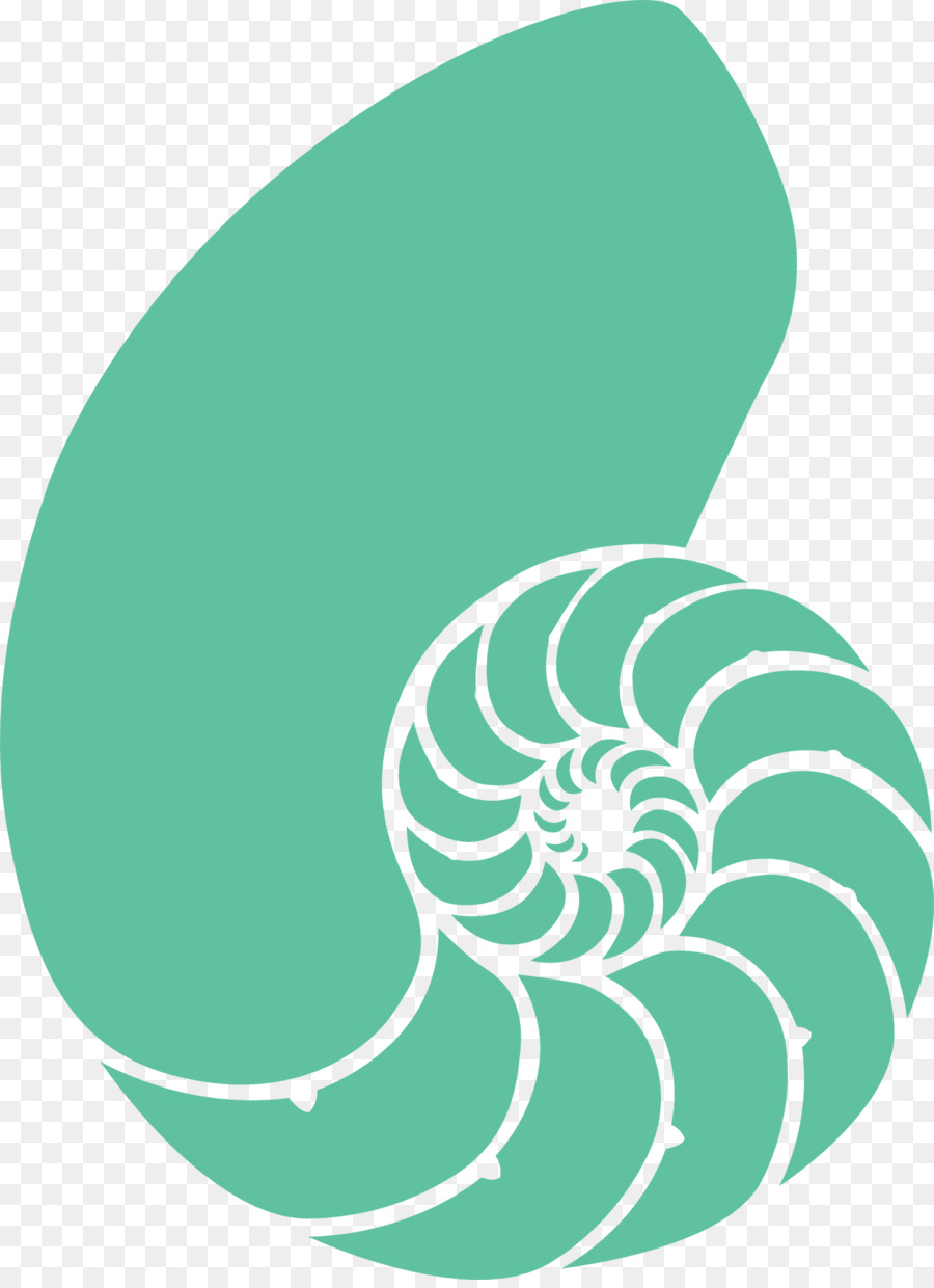 Seashell Nautilidae Clip art - lumaca