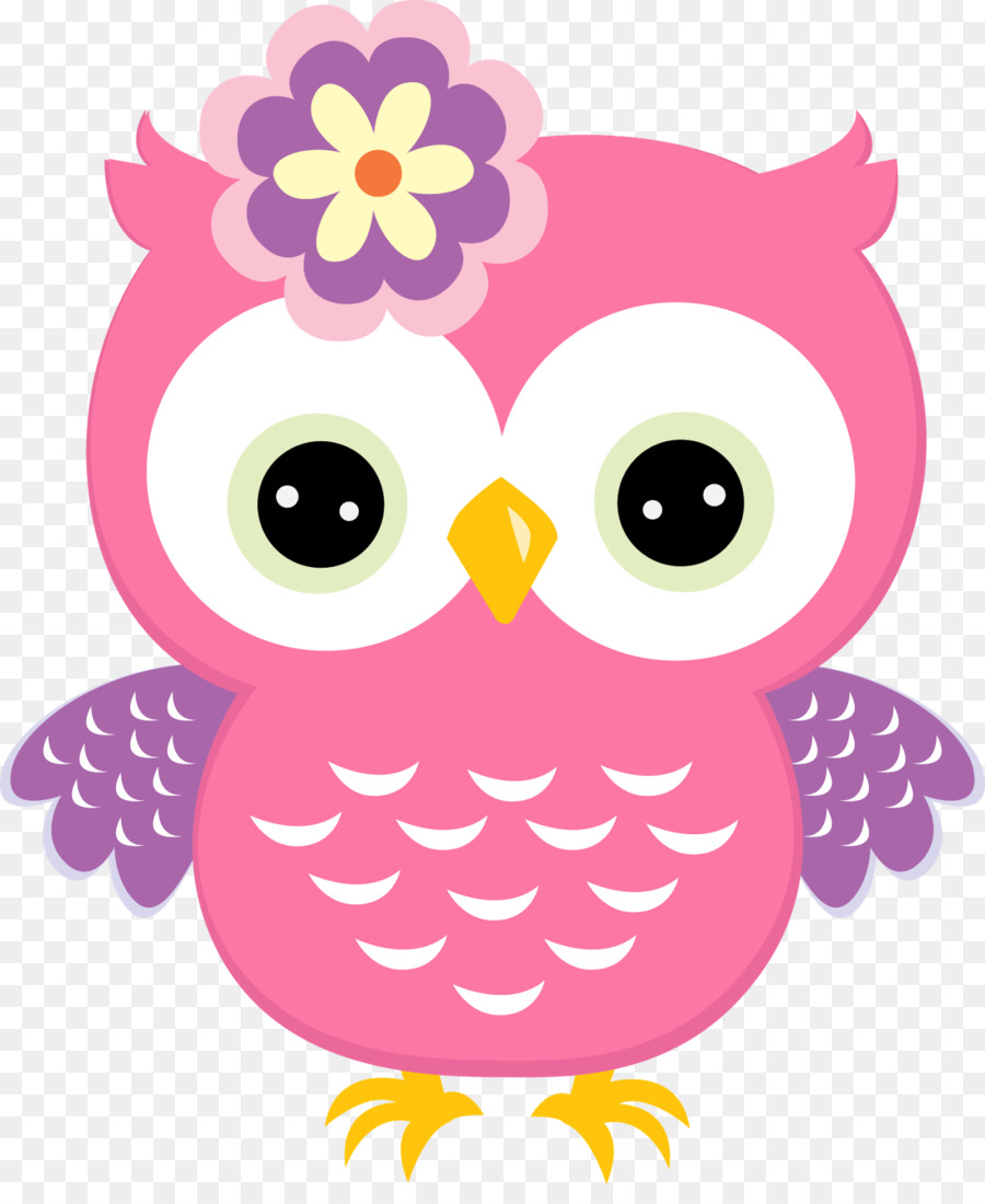 Owl-Babys Baby-Eulen-Vogel-clipart - Holi PNG