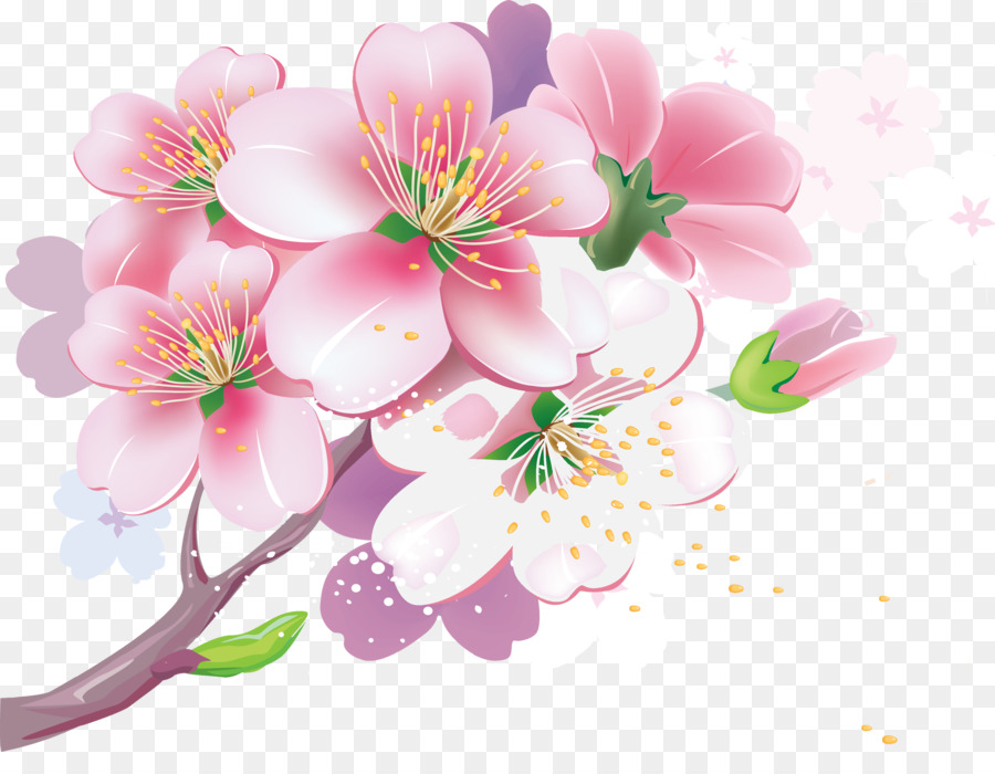 Cherry blossom Royalty free clipart - Blüte
