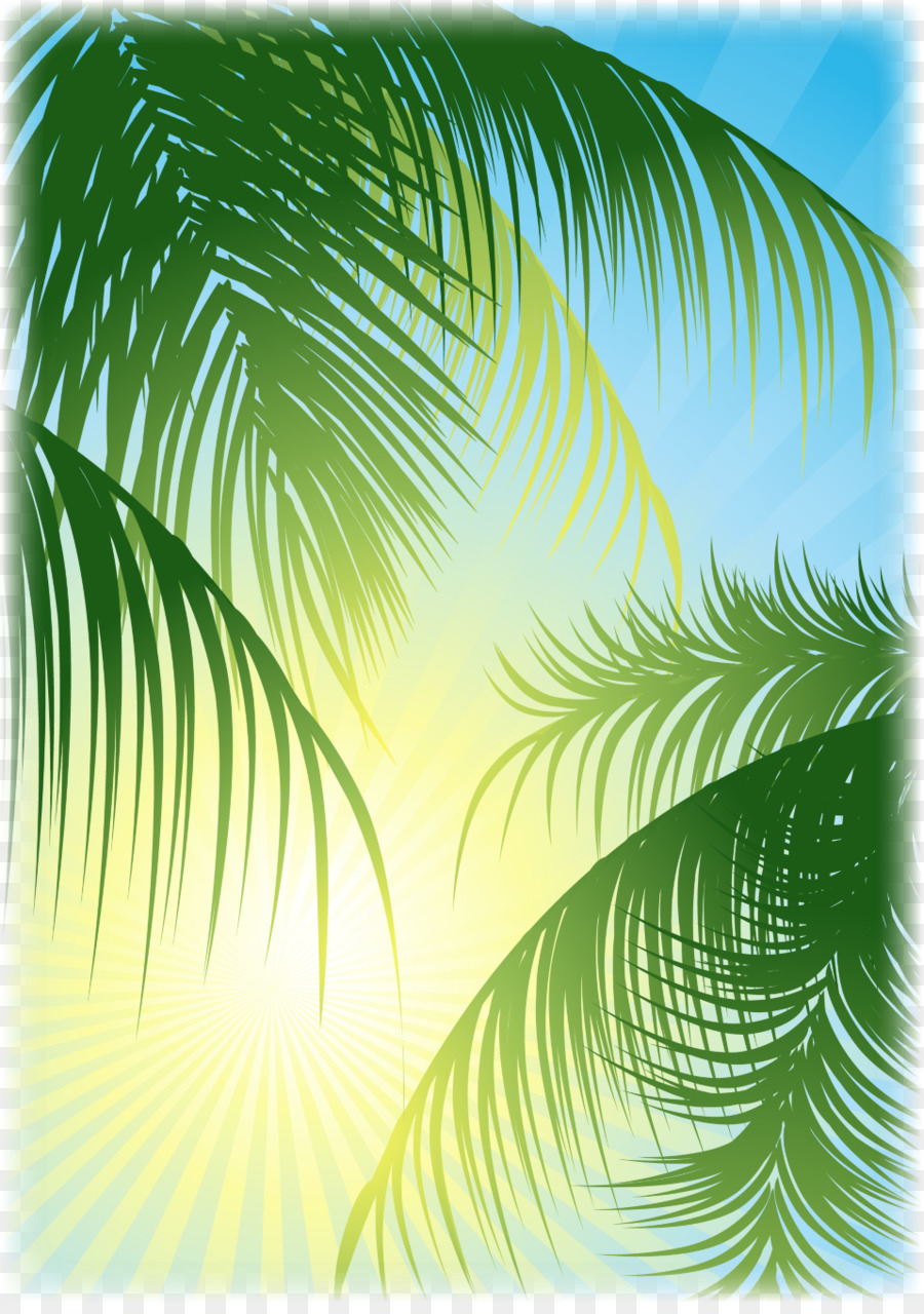 Arecaceae Kokosnuss-Wasser Blatt - Palmblätter