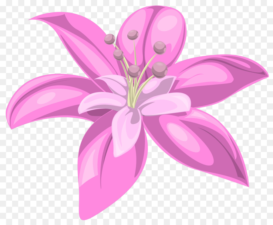 Blume Rosa Lilium Clip art - rosa Blume