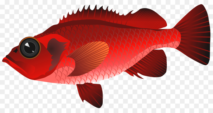 Sashimi di Pesce Clip art - pesca